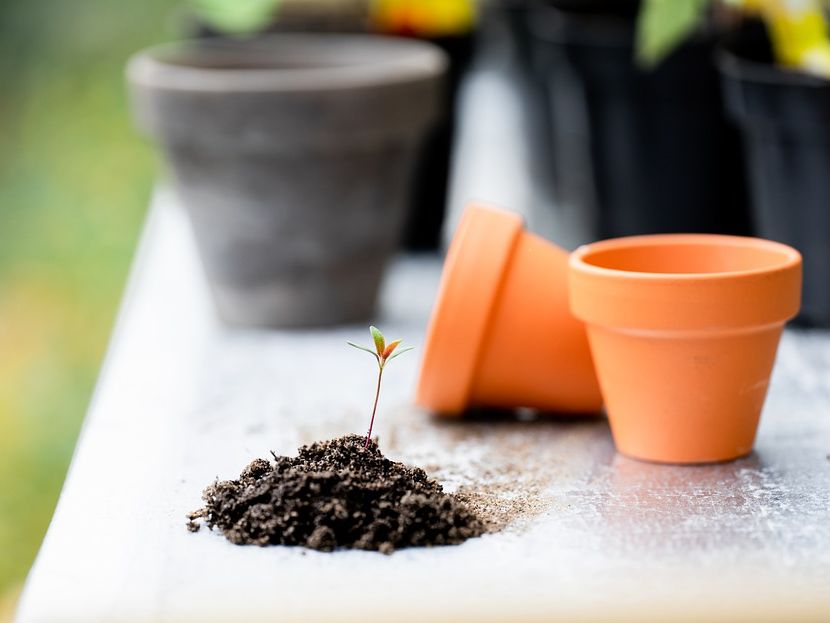 Jardinería y floristería