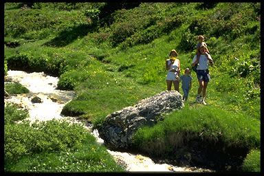 Gestión y organización de los recursos naturales y paisajísticos