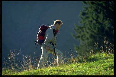 Gestión forestal y del medio natural